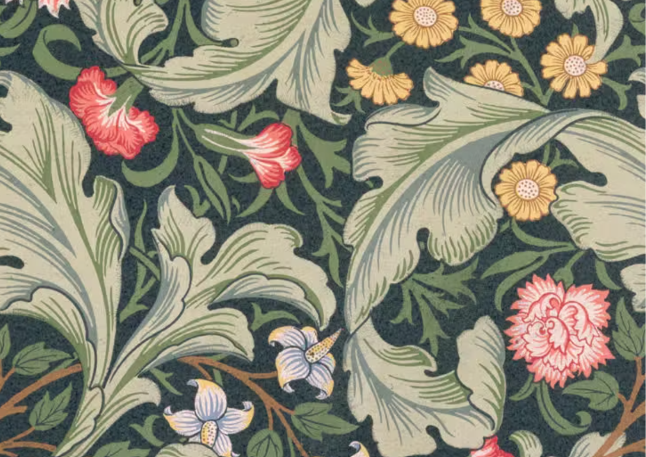 Fleurs 3.png