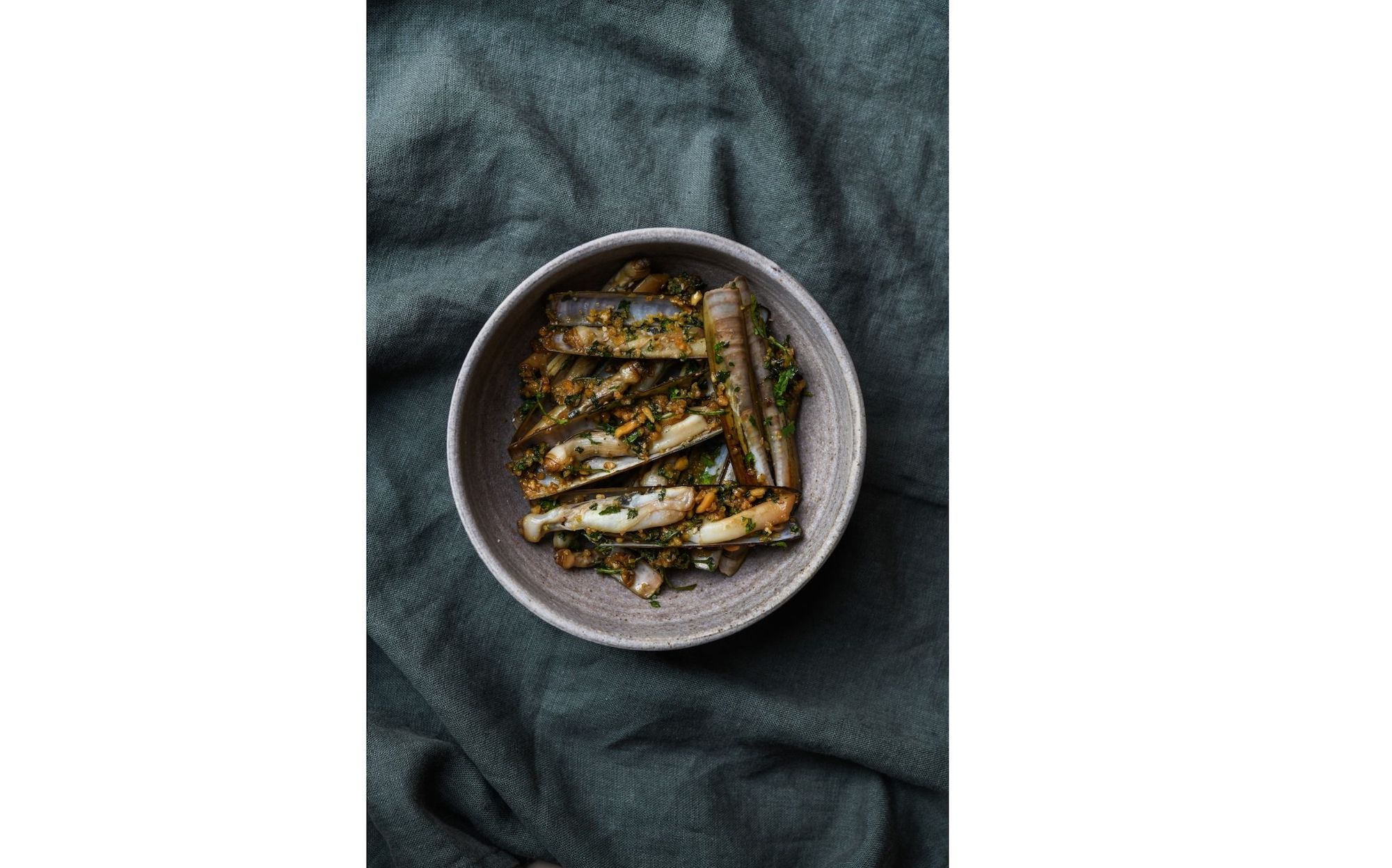 mackerel