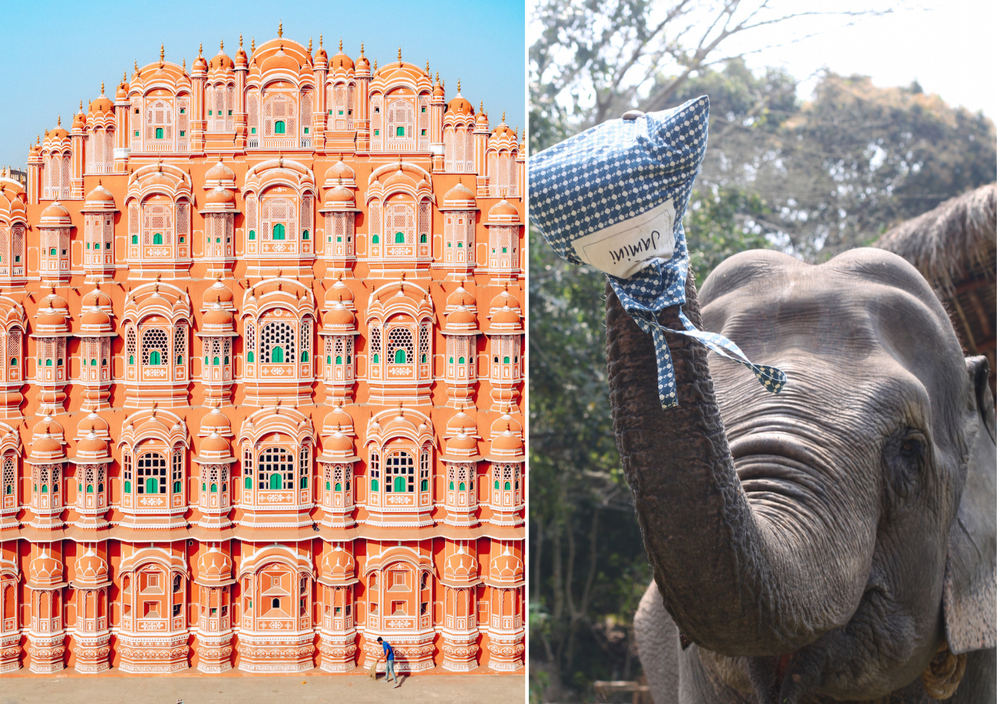 City Palace à Jaipur - Éléphant du Kaziranga