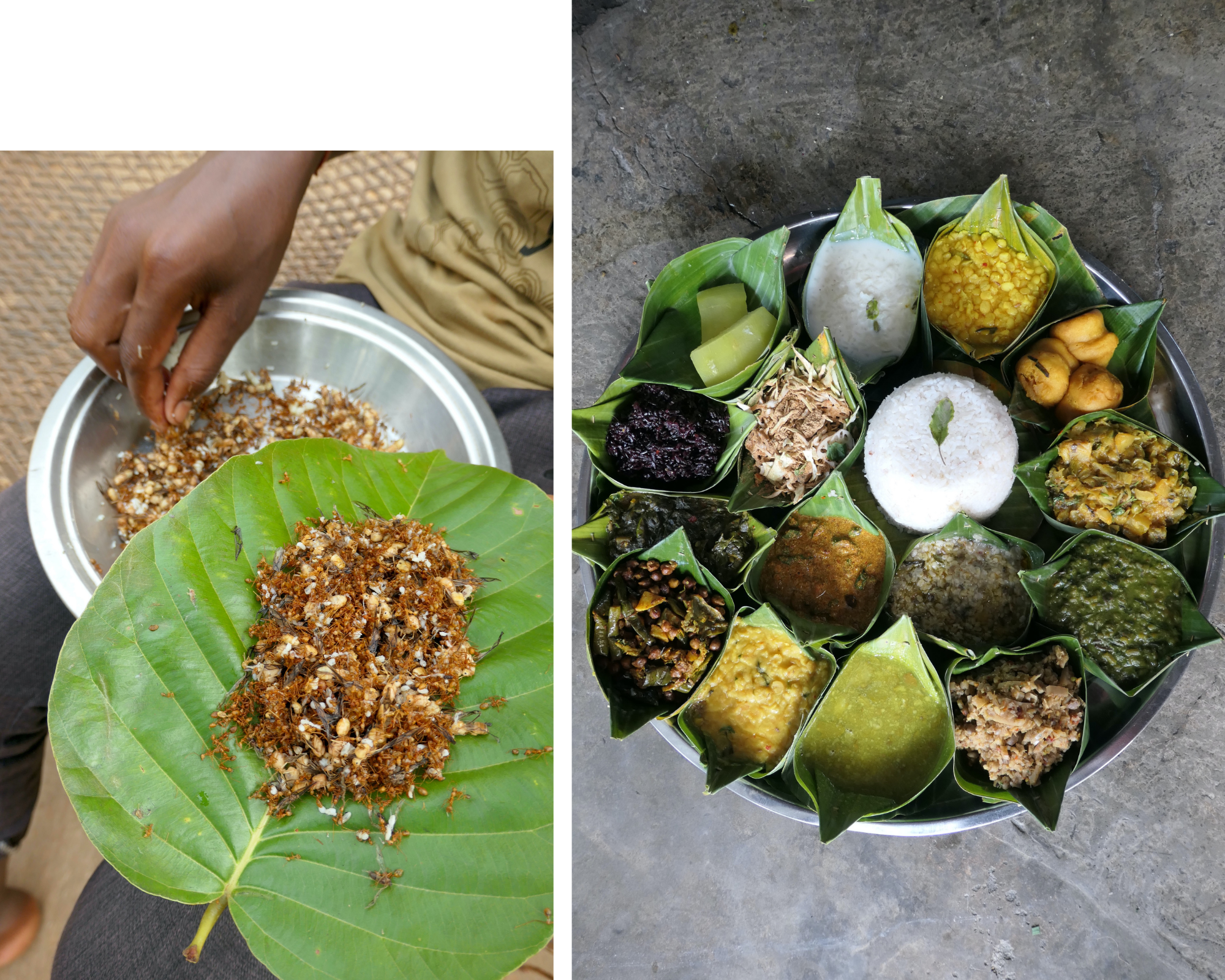 Cooking ingredients