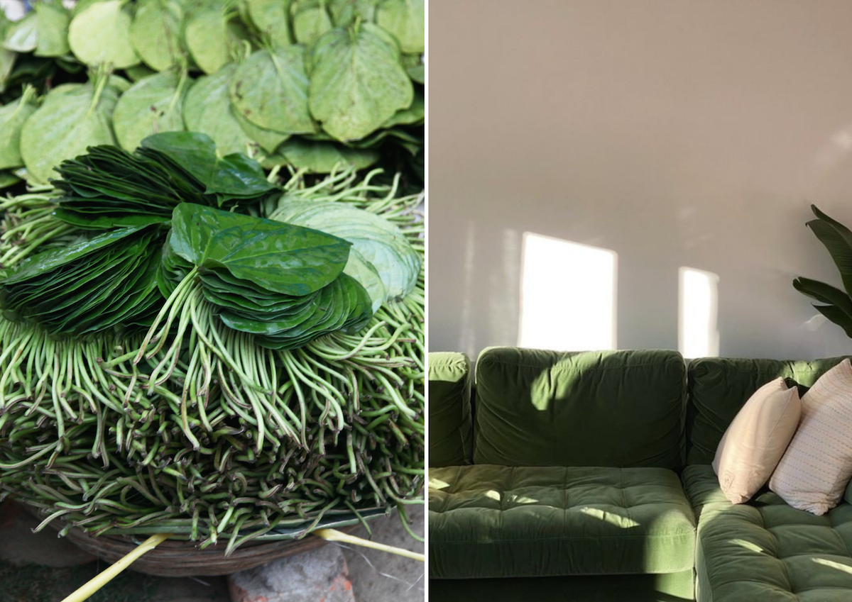 Indian vegetables, green boho chic sofa